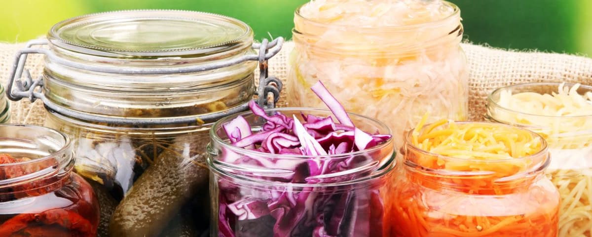 Gefermenteerde voedingsmiddelen – yoghurt, kefir, zuurkool, kimchi, miso en tempeh met levende culturen voor gezonde darmen.