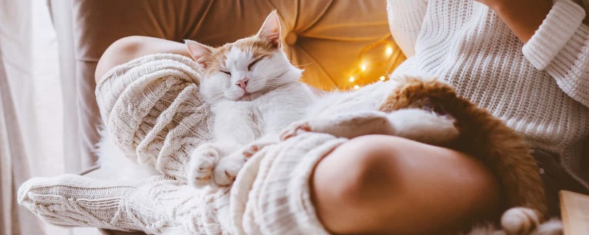 Hygge wintersetting met plaid, kaarslicht en kruidenthee – ultiem ontspannen thuis.