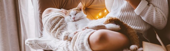 Hygge wintersetting met plaid, kaarslicht en kruidenthee – ultiem ontspannen thuis.