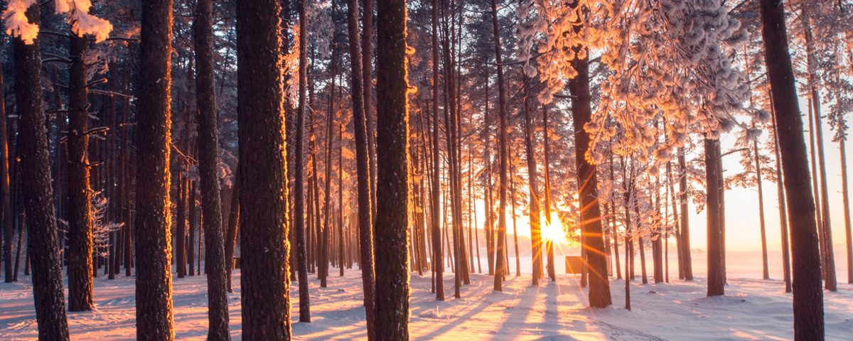 bs_5_minuten_licht_challenge