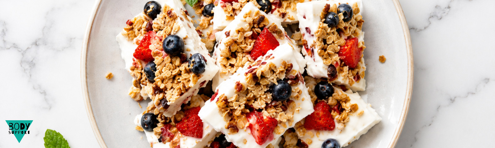 bs_frozen_yoghurt